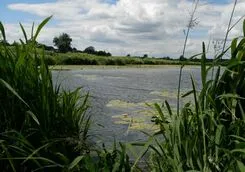 Очищення водойм